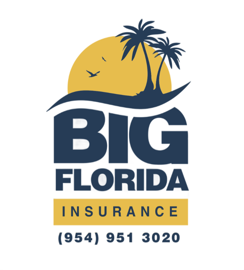 Big Florida Insurance logo